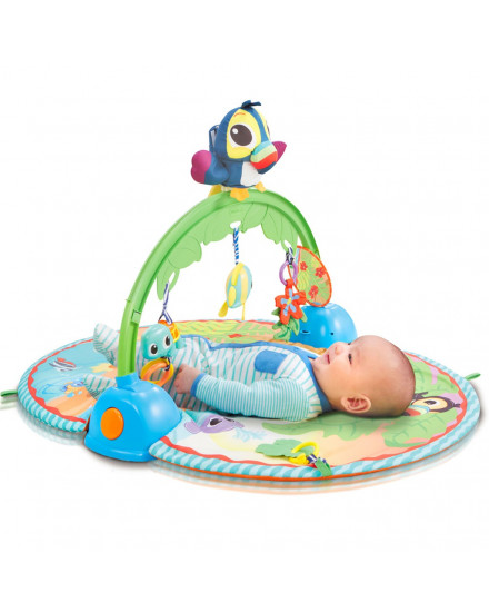 Little Tikes Good Vibrations Deluxe Activity Gym